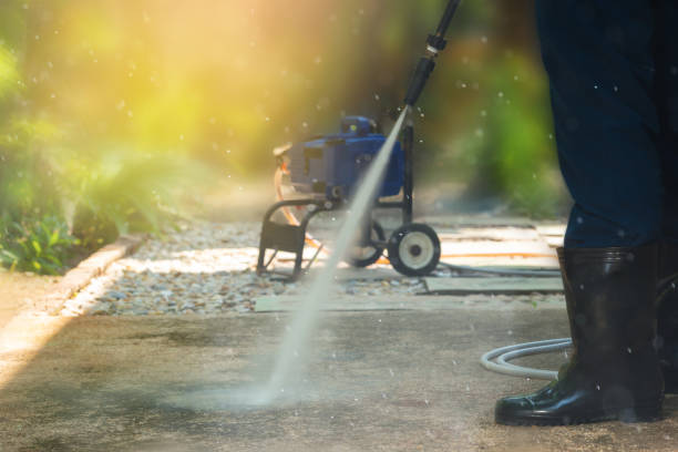 Best Driveway Pressure Washing  in Elsmere, KY